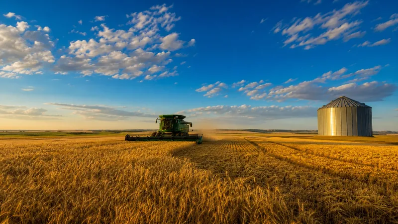 Golden wheat field at harvest with a combine and a grain bin at the edge of the field, North Dakota Corporate Farming Law